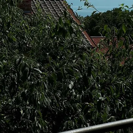 Jasmina Apartament